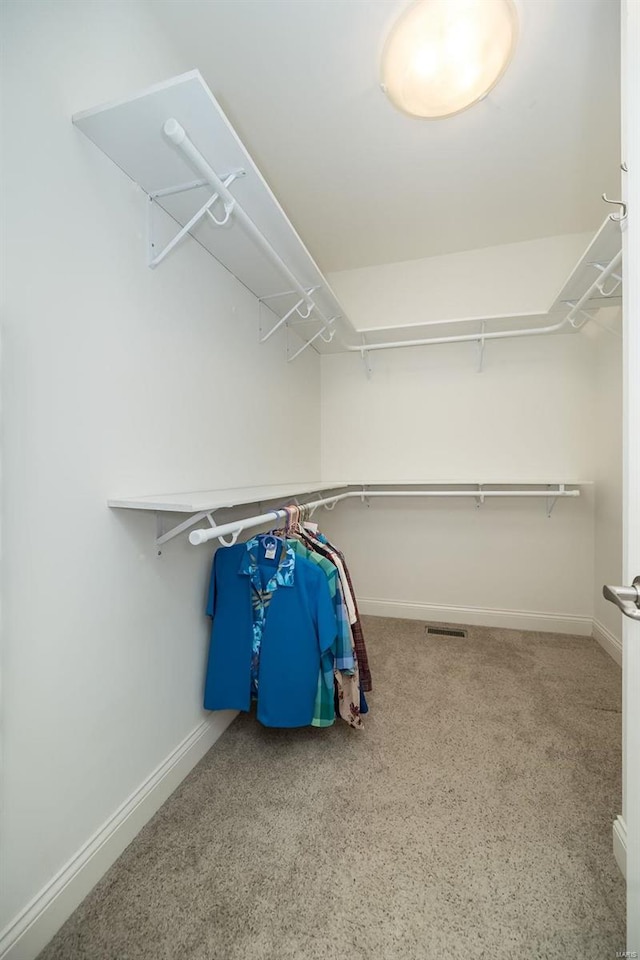 view of walk in closet