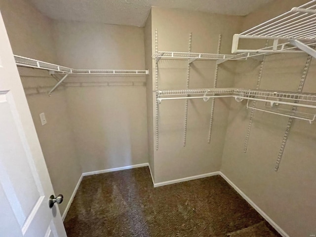spacious closet with carpet floors
