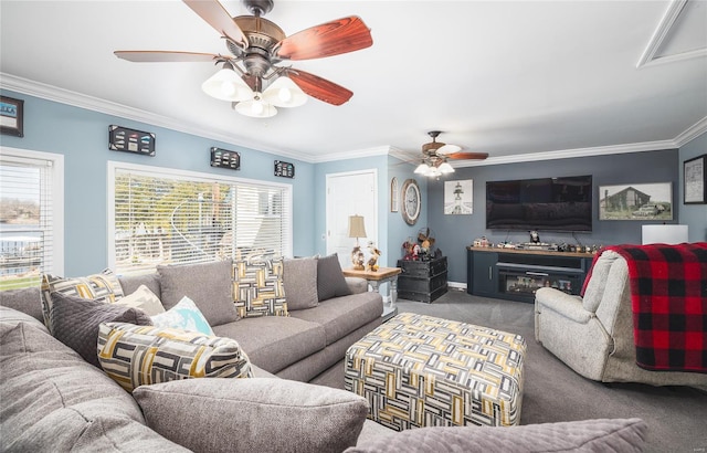 carpeted living room with baseboards, crown molding, and ceiling fan