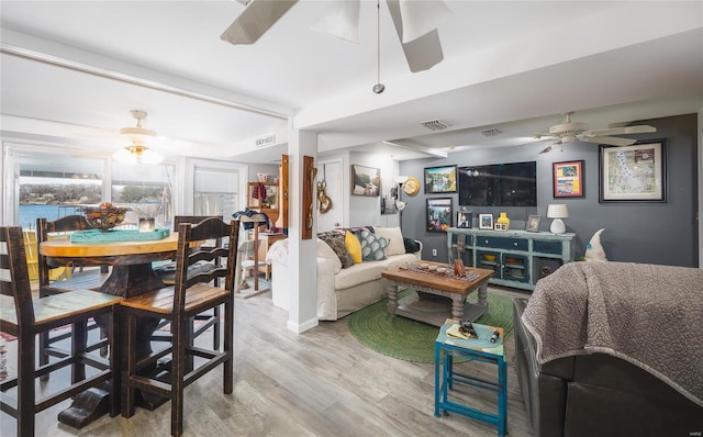 living area featuring visible vents, ceiling fan, and light wood-type flooring
