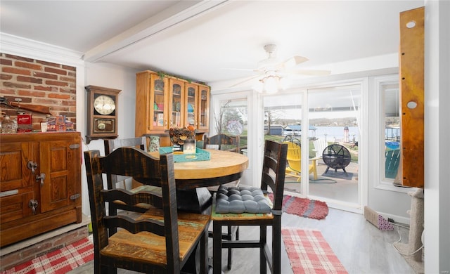 dining space with ornamental molding, wood finished floors, and a ceiling fan
