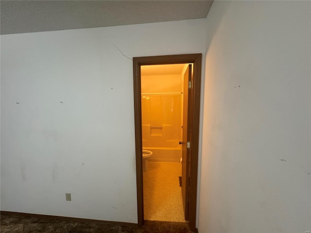 unfurnished room featuring carpet floors