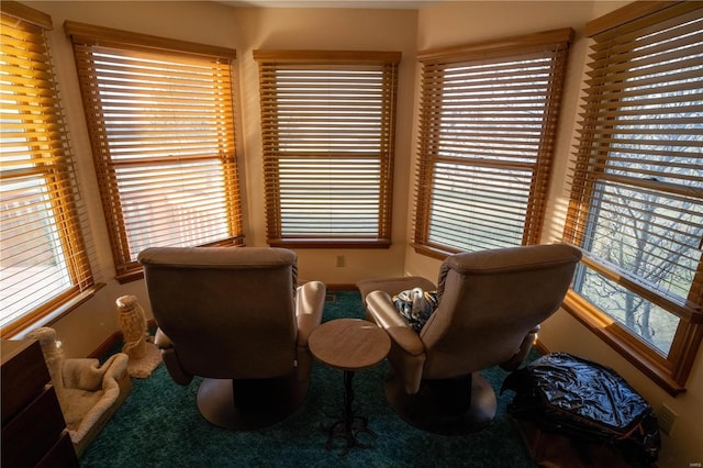 sitting room with a wealth of natural light and carpet flooring