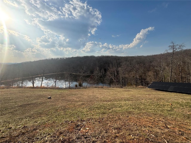 property view of water with a wooded view