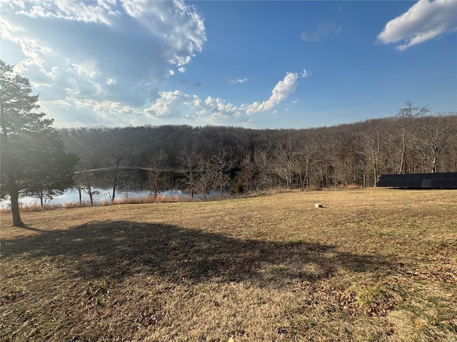 view of yard featuring a forest view and a water view