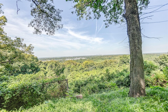 view of landscape with a forest view