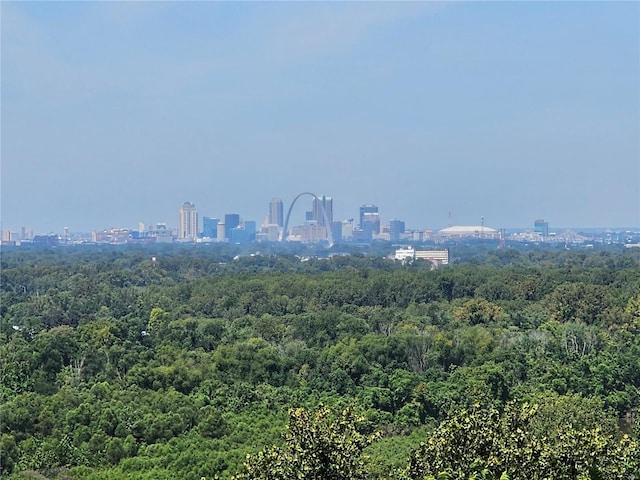 property's view of city