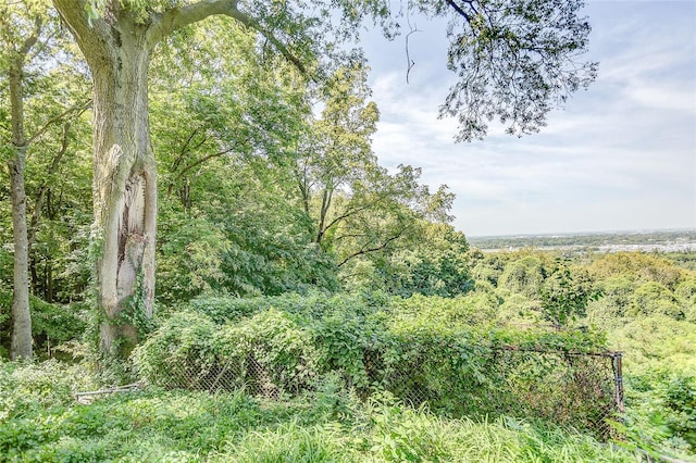 view of local wilderness featuring a view of trees