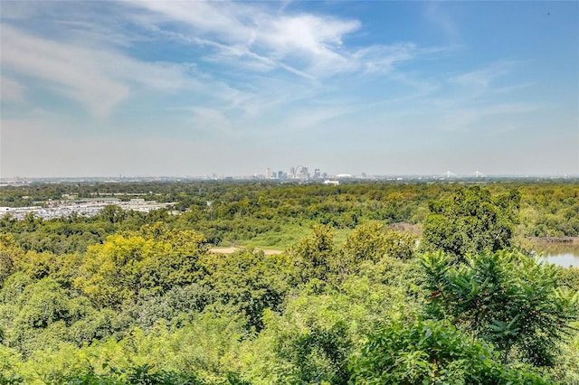 bird's eye view featuring a forest view