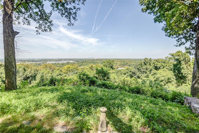 view of local wilderness with a wooded view