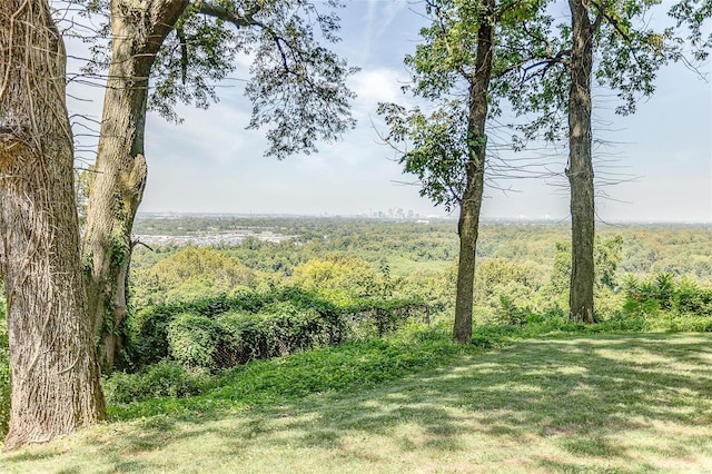 view of nature featuring a wooded view