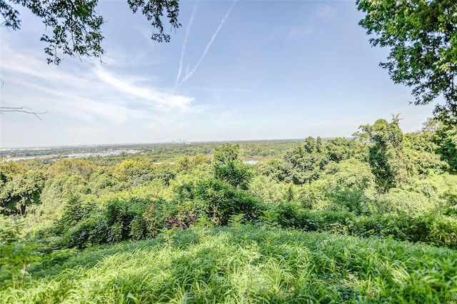 view of landscape featuring a forest view