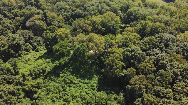 aerial view featuring a view of trees