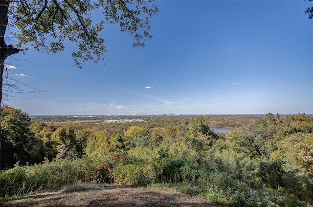 view of landscape featuring a view of trees