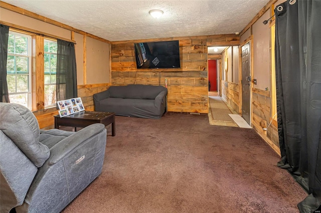 living area with carpet flooring, a textured ceiling, and wooden walls