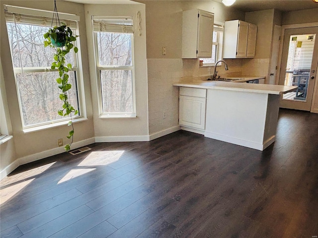 kitchen with dark wood finished floors, light countertops, a wealth of natural light, and a sink