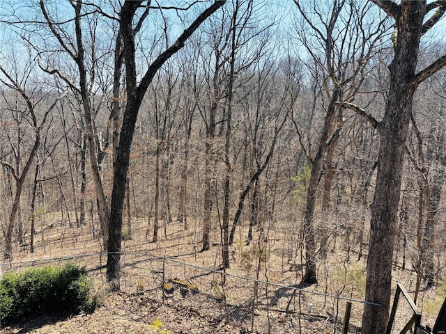 view of nature with a forest view