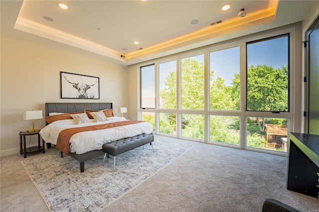 bedroom featuring recessed lighting, a raised ceiling, and carpet floors