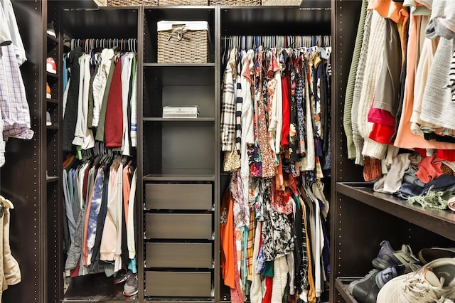 view of spacious closet