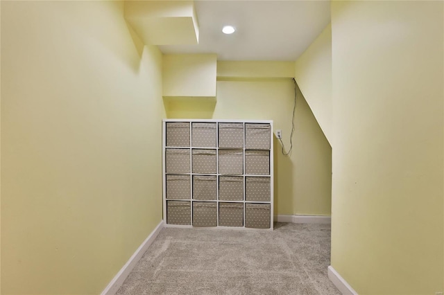 spacious closet featuring carpet floors