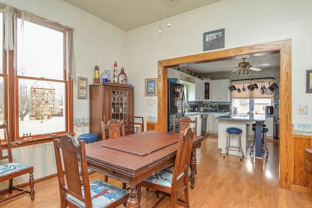 dining area featuring ceiling fan, crown molding, and light wood finished floors