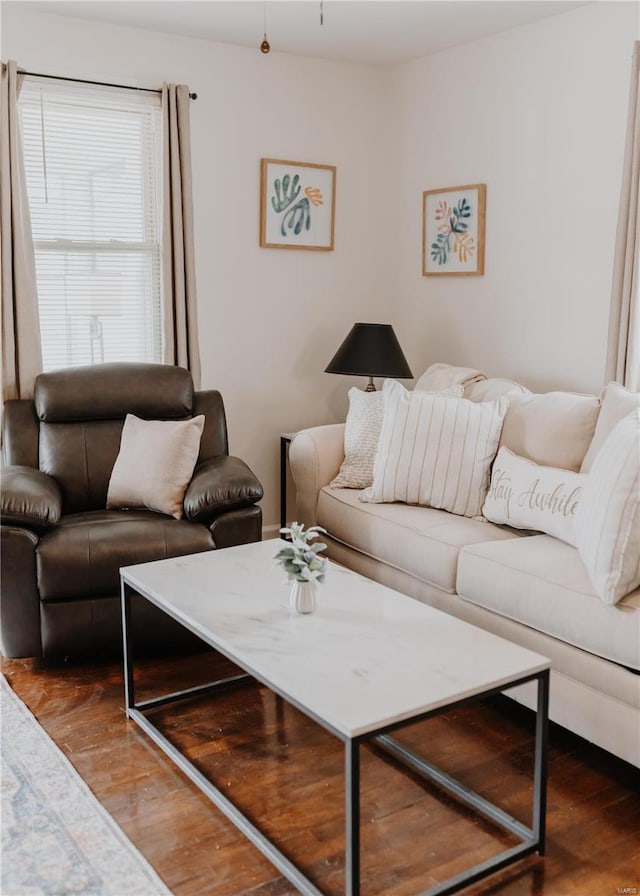 living room featuring wood finished floors