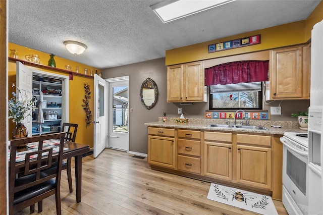 kitchen with a sink, light wood-style flooring, a healthy amount of sunlight, and white electric stove