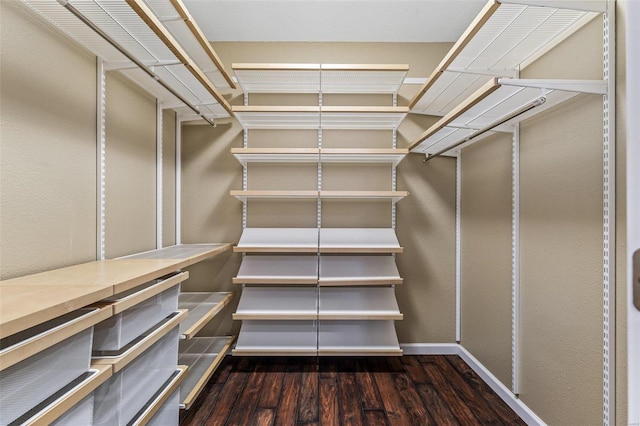 walk in closet featuring wood finished floors