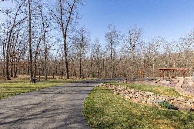 view of street with a view of trees