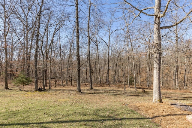 view of yard featuring a wooded view