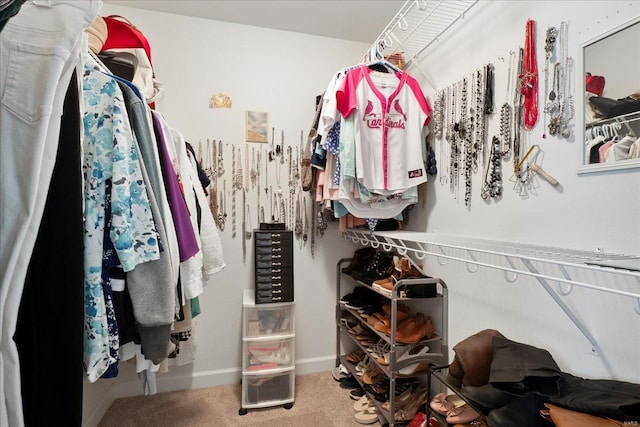 spacious closet featuring carpet flooring