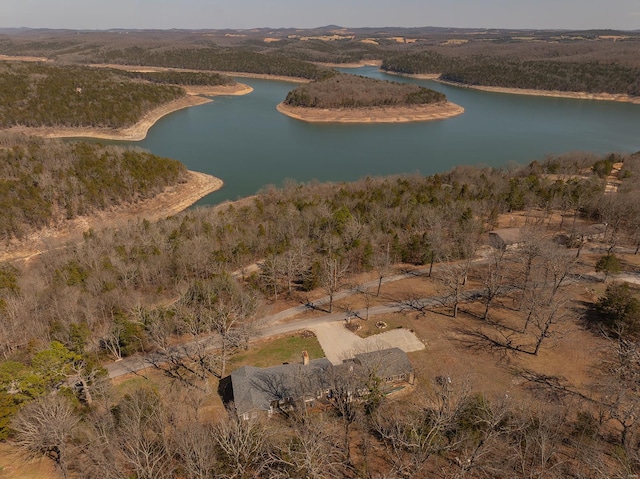 aerial view with a view of trees and a water view