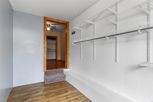 walk in closet featuring a ceiling fan and wood finished floors