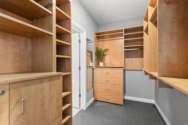 walk in closet with dark carpet