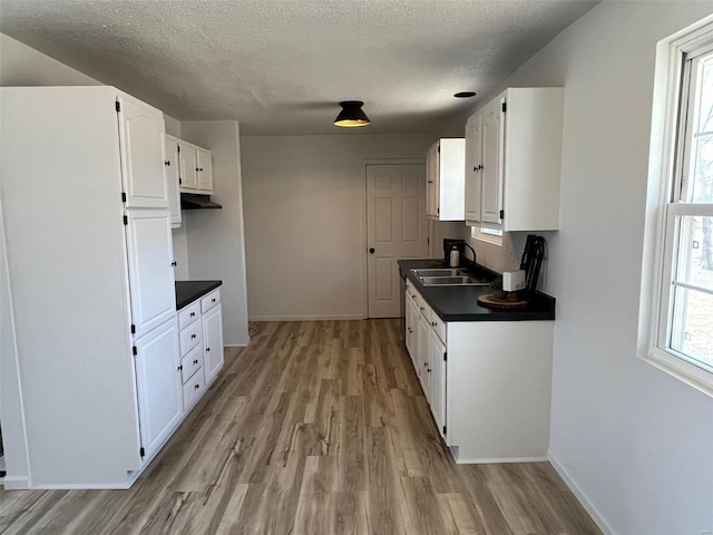 kitchen featuring a sink, under cabinet range hood, dark countertops, white cabinets, and light wood finished floors