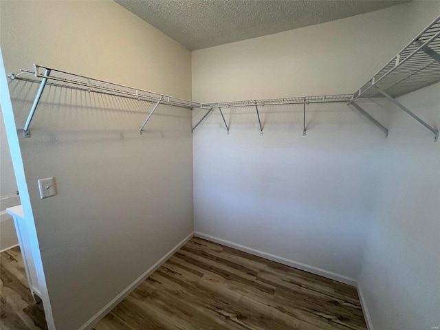 walk in closet with wood finished floors