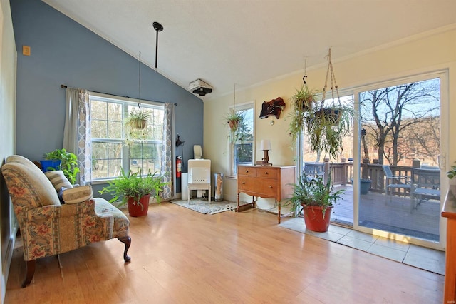 living area featuring vaulted ceiling and wood finished floors