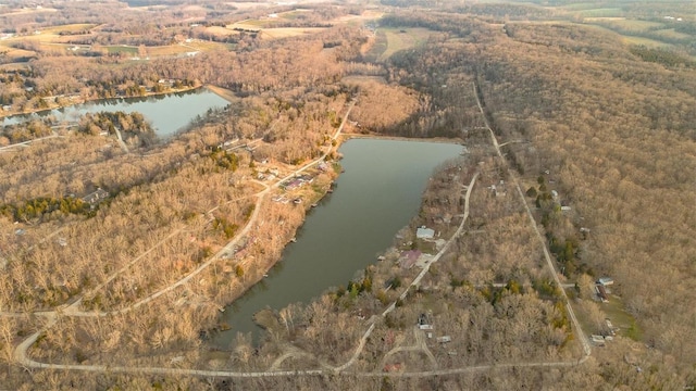 drone / aerial view with a view of trees and a water view