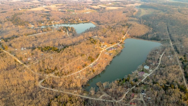 aerial view with a water view and a view of trees