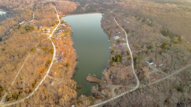 birds eye view of property with a wooded view and a water view