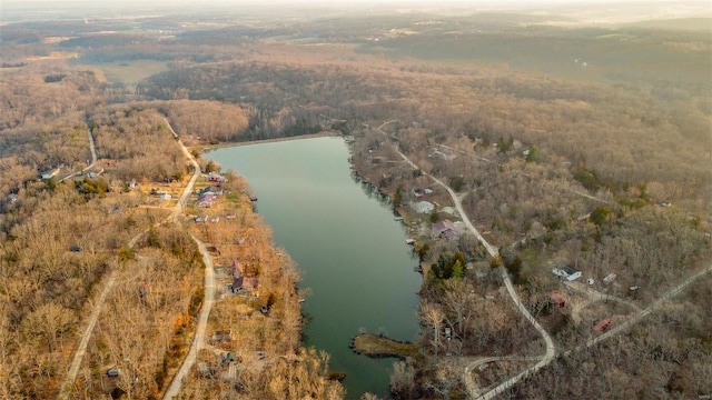 aerial view with a view of trees and a water view