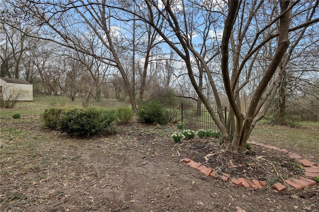 view of yard featuring a storage shed and an outdoor structure