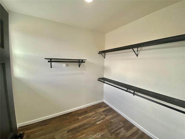 spacious closet with dark wood-style flooring