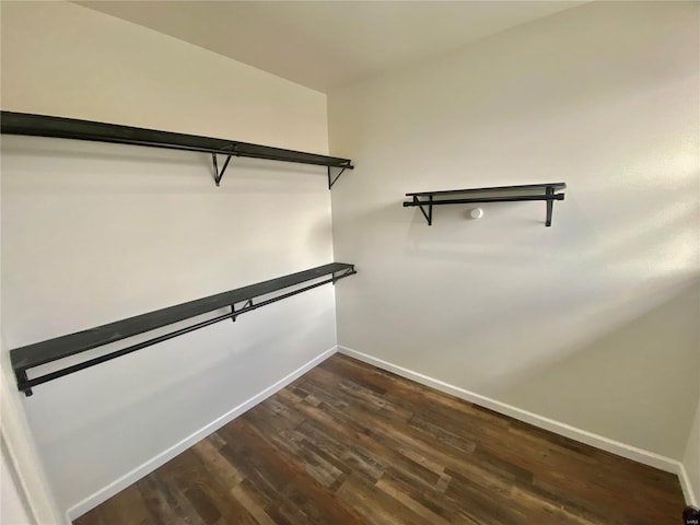 walk in closet featuring dark wood-style flooring
