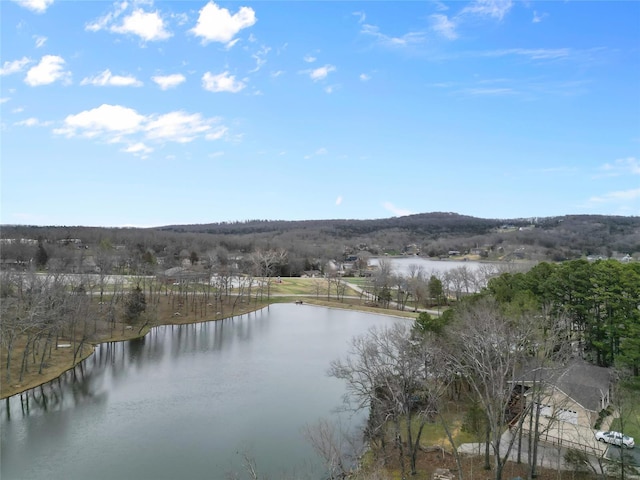 property view of water