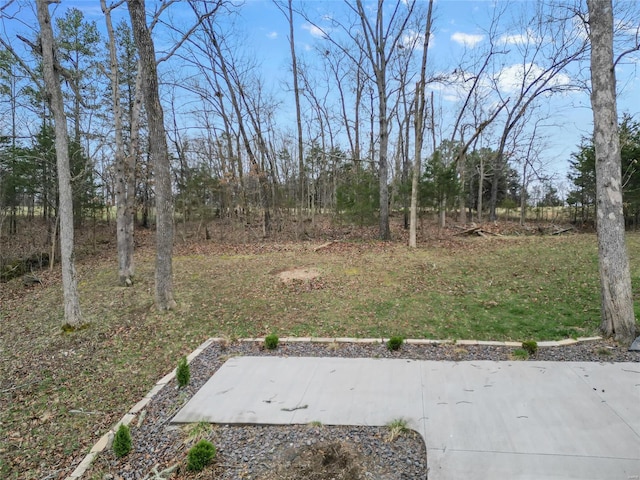 view of yard with a patio