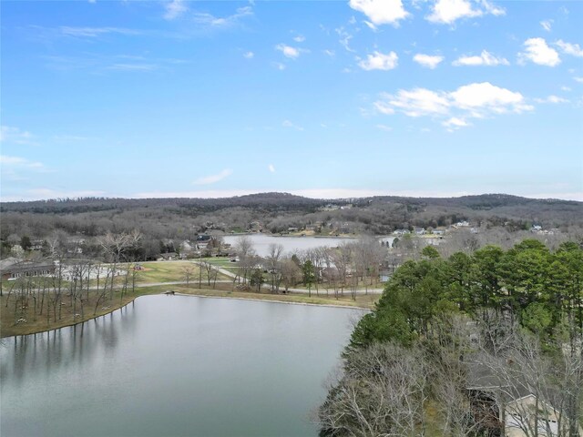 property view of water