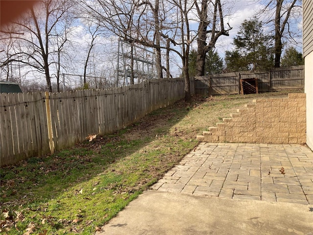 view of yard featuring a patio and a fenced backyard