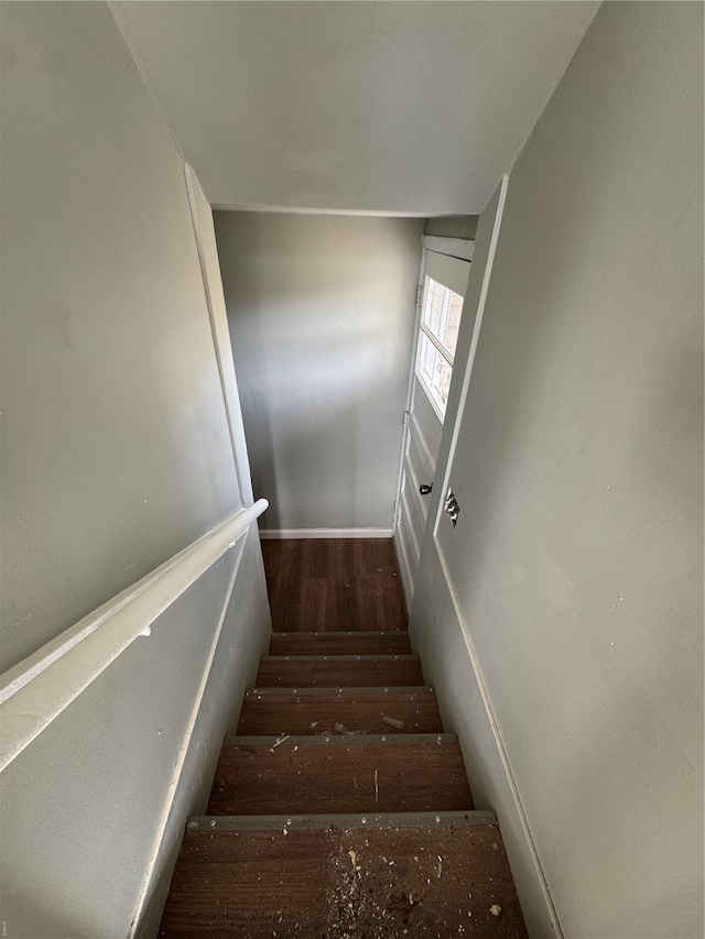 stairs featuring wood finished floors
