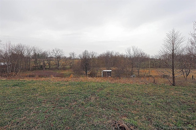 view of yard with a rural view